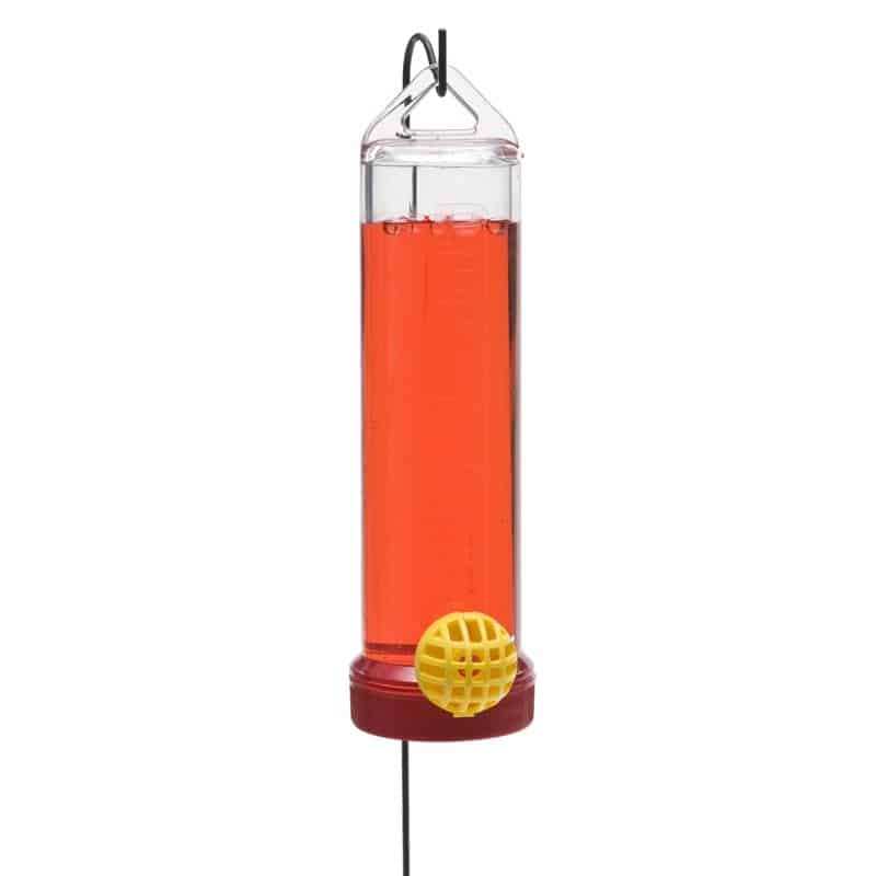 Hummingbird Feeder